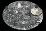 Round Fossil Goniatite Dish #73713-2